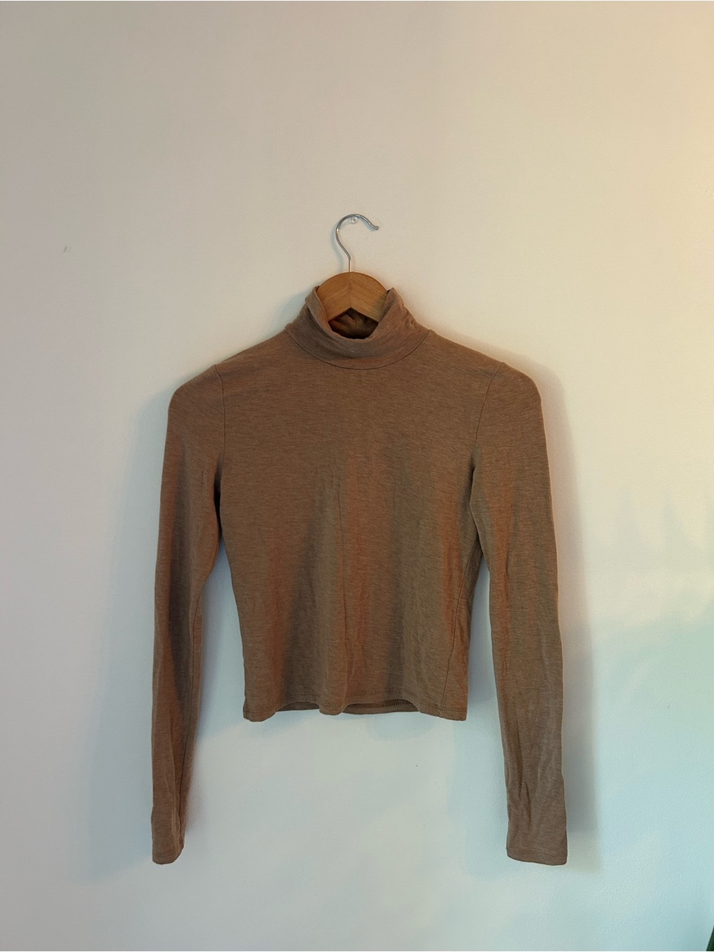 Aritzia Babaton Slim Fit Cropped Turtleneck - Camel Brown